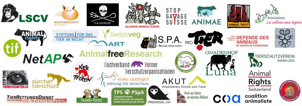 logos