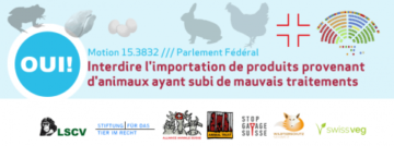 facebook_couverture_motion_aebischer_fr.png