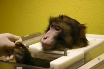 singe-article-graf.jpg