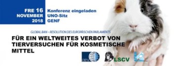 2018-11-16-conferences-onu-de.jpg